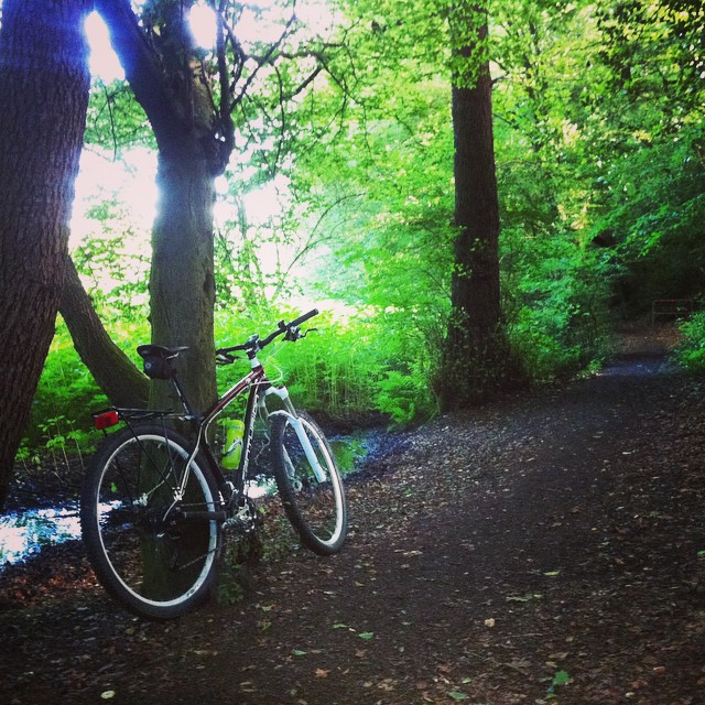 Let me bring you Songs from the Wood, it'll make you feel mich better... #tull #picoftheday #bike #igersmtb