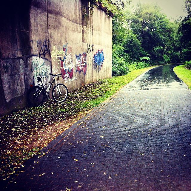 Schneckenslalom auf der Erzbahntrasse. #stravaphoto #instadaily #bike #ruhrpott #erzbahntrasse #igers_mtb